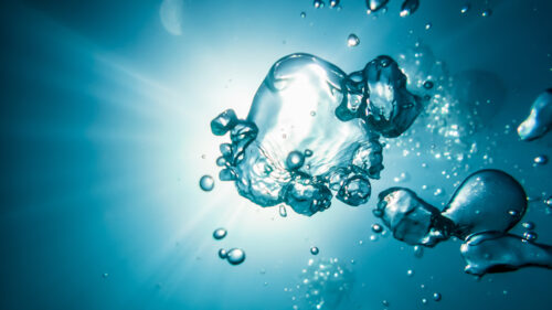 Festival dell’Acqua 2021